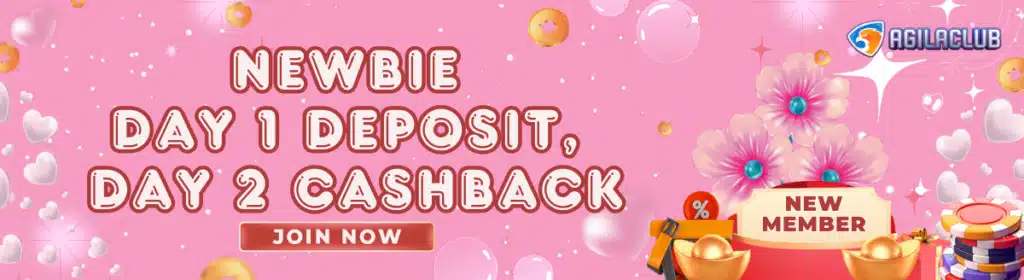 1738473009140_Newbie CB 1200x328 (Valentine)